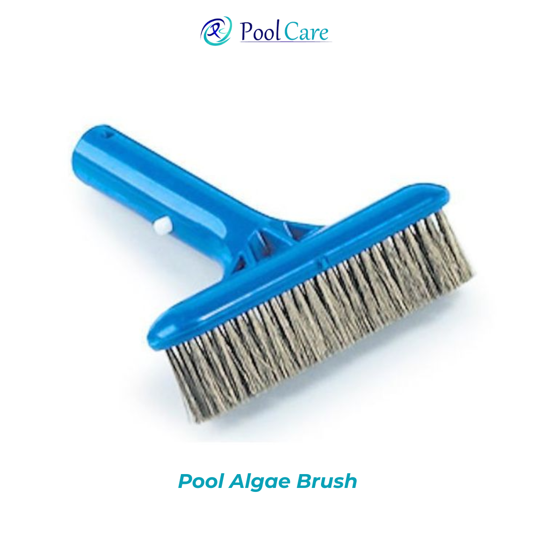 pool-algae-brush-img